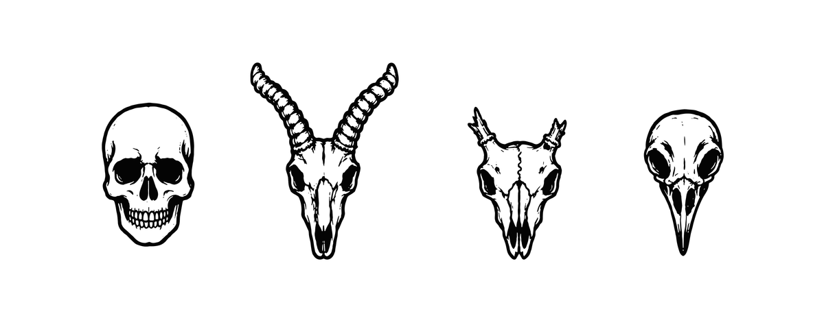 Skull Row — Halloween Temporary Tattoo | Phase