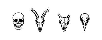 Skull Row — Halloween Temporary Tattoo | Phase