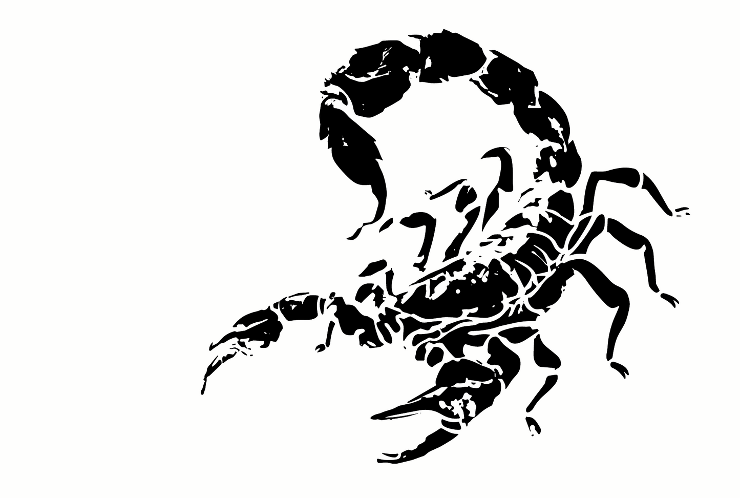 Scorpion — Temporary Tattoo Single | Phase